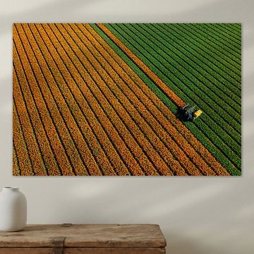 A tulip field seen from the air by Keesnan Dogger Fotografie