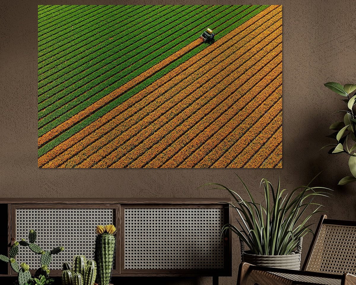 Voorbeeld van het werk in een kamer