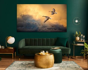 Wild geese against dramatic cloudy sky by Inge van den Brande