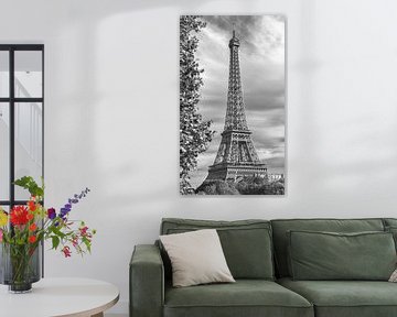 Paris Fine Art von Rob van der Teen