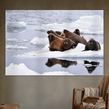 Guardians of the Arctic Ice by Duco Das