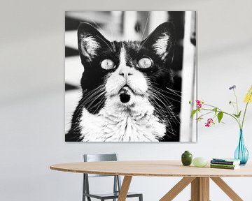 Cat Portrait Black White von Maja Bredschneijder