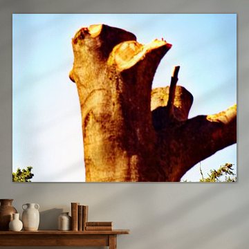 der Baum der Zeit von Wesley Louter