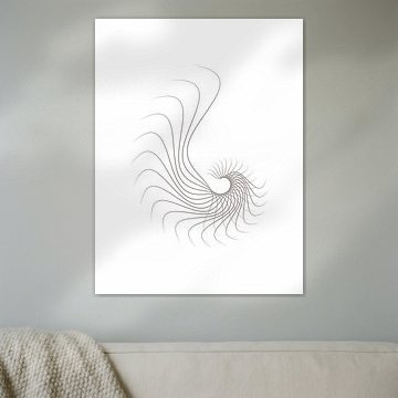 Géométrie de la spirale logarithmique sur hong hong