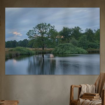 Dwingelderveld - Drenthe (Nederland)