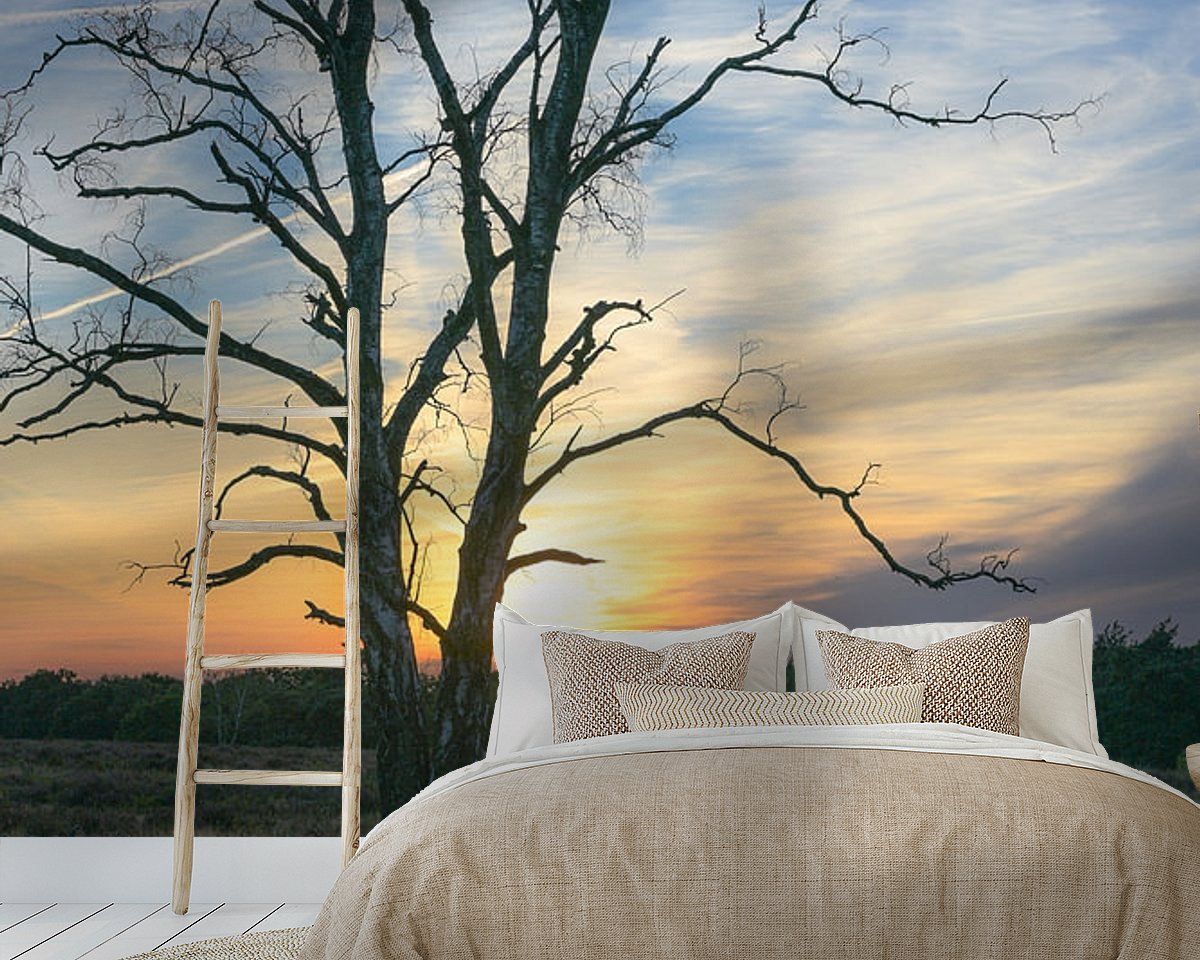 Raumvorschau