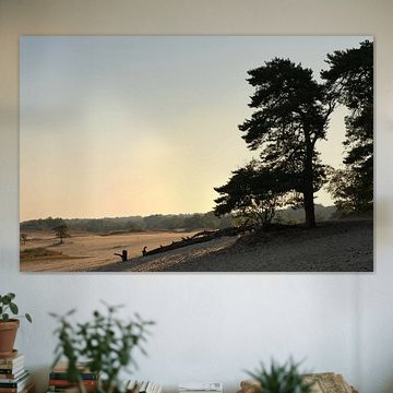 Morgenlicht auf den Dünen von Vague & Form