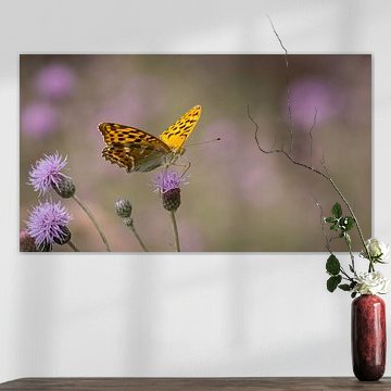 Strahlender Schmetterling