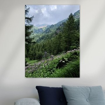 Wildflowers and Pines in Alpine Mountains in Italy by Visuals by Sam