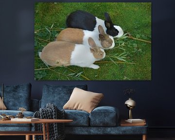 Three Bunnies by Michel van Kooten