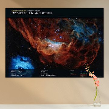 Tapestry of Blazing Starbirth
