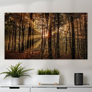 Neigembos am Morgen im frühen Herbst. von Jurgen Van Der Smissen