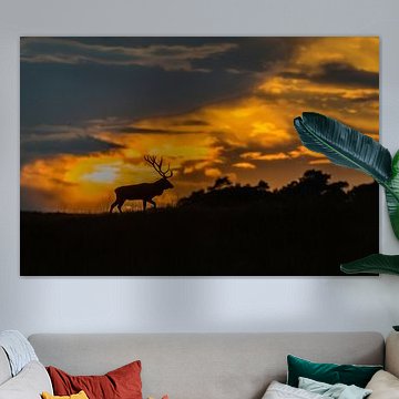 Hirsch im Abendlicht von Wim & Jur