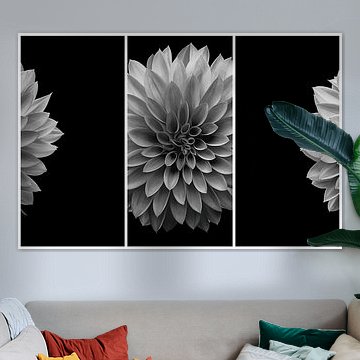 Deconstructed Portrait of a Dahlia II – Black and White