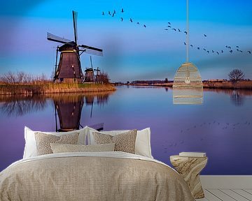 reflection Kinderdijk by Michael van der Burg