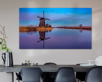 reflection Kinderdijk