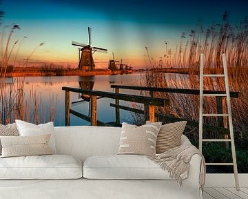 Kinderdijk Holland by Michael van der Burg