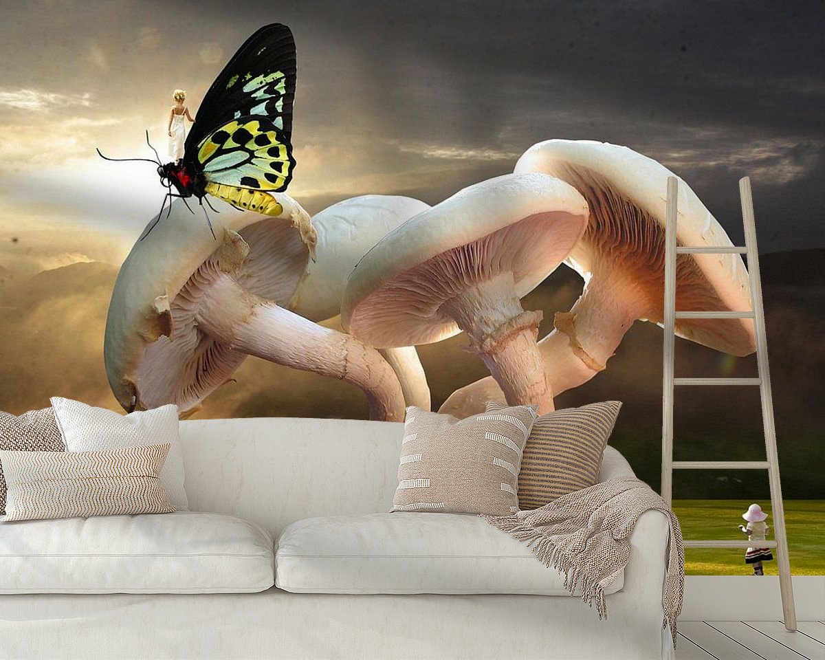 Raumvorschau