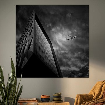 Flight by The White Rabbit