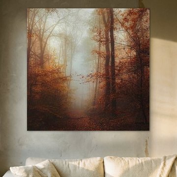 Een in mist gehuld bospad in de herfst