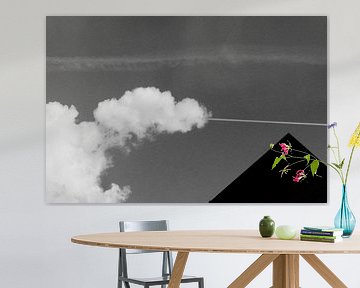 Wolken, vliegen en vormen