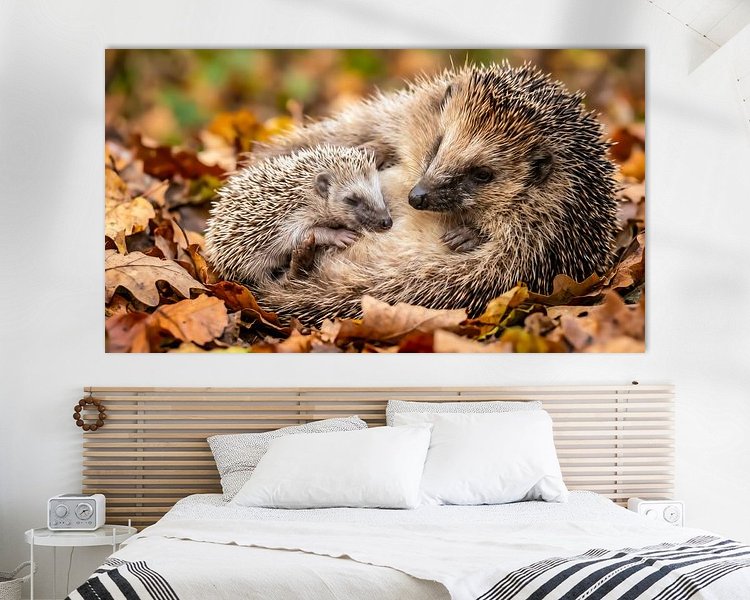 Raumvorschau