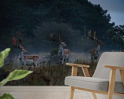 Raumvorschau