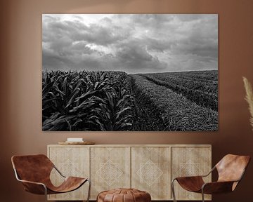 Corn, straw and clouds van Armand L'Ortije