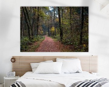 Winding Forest Path 