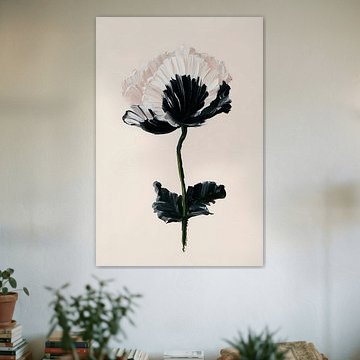 Monochrome Mohnblumen-Studie von Bob Cintron