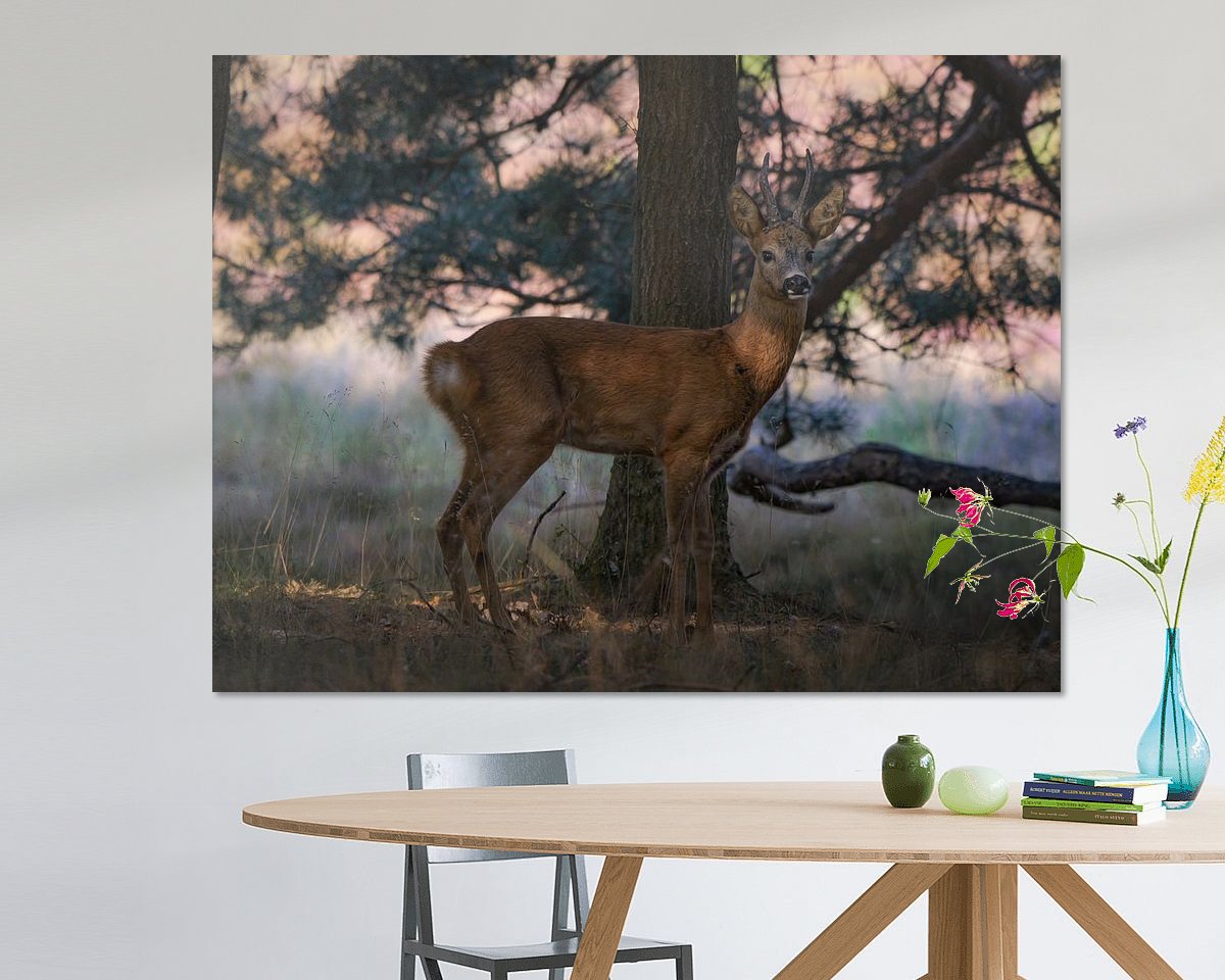 Raumvorschau