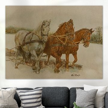 Chevaux de la Gueldre pour le cultivateur sur Wim Romijn