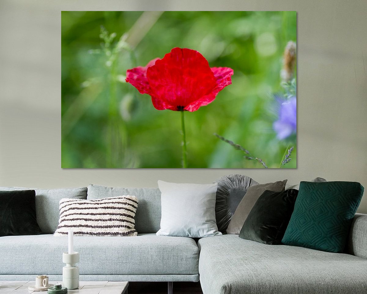 Raumvorschau