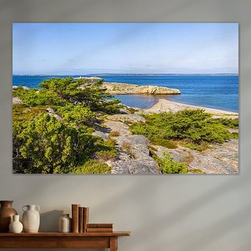 Felsen und Bäume an der Küste der Insel Saltö nahe Strömstad