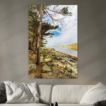 Felsen und Bäume an der Küste der Insel Rossö nahe Strömstad