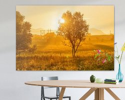 Voorbeeld van het werk in een kamer