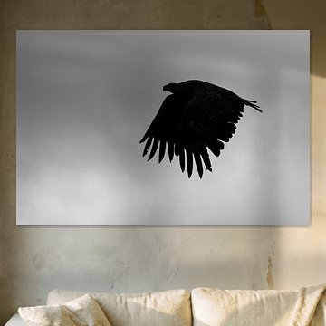 Flügel in der Stille