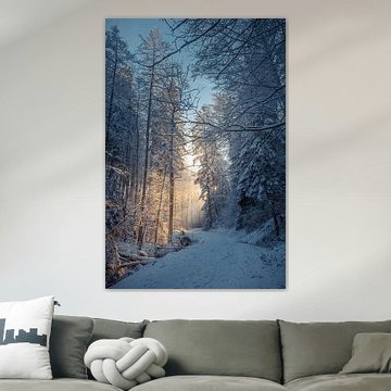 A snow-covered forest path