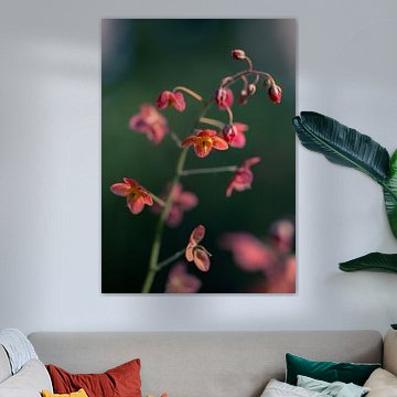 Delicate elf flower