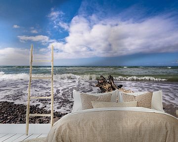 Drift wood on the Baltic Sea coast by Rico Ködder