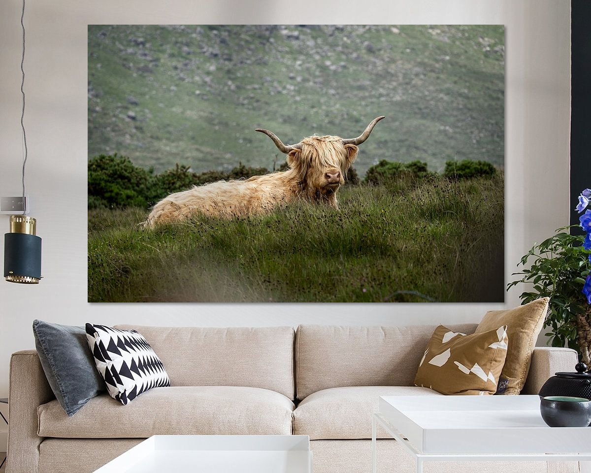 Raumvorschau