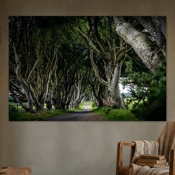 The Dark Hedges by Daisy Renders
