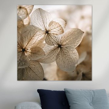 Gros plan sur une fleur 