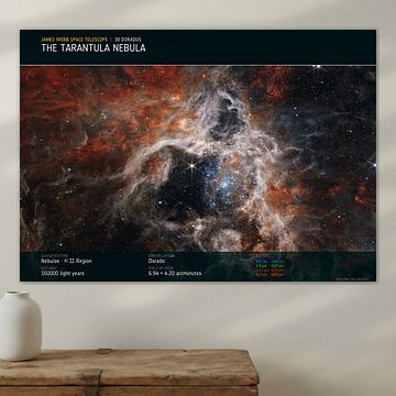 The Tarantula Nebula | 30 Doradus | James Webb Space Telescope von Deep Field