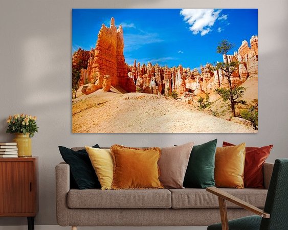 Aperçu de la chambre