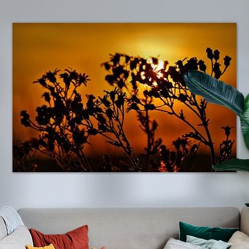 Solar Flare – Silhouette in Golden Light by Erwin Duijvestijn