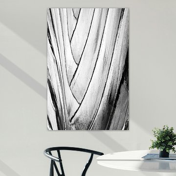 Grafische botanische Textur eines Bananenbaums in Schwarz-Weiß von Natalia Gebauer Studio