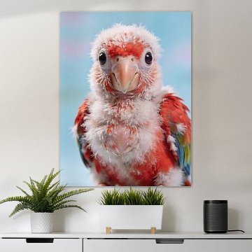A portrait of the colourful Arababy – animal poster