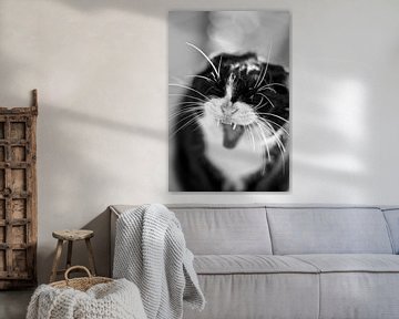 Cat Portrait Black White von Maja Bredschneijder