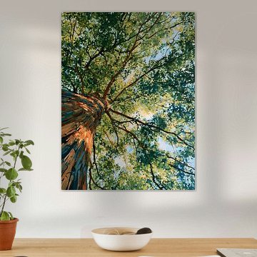 Canopée forestière sur IamHomeStudio